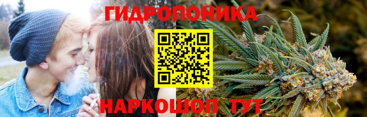 Шишки марихуана OG Kush Чусовой